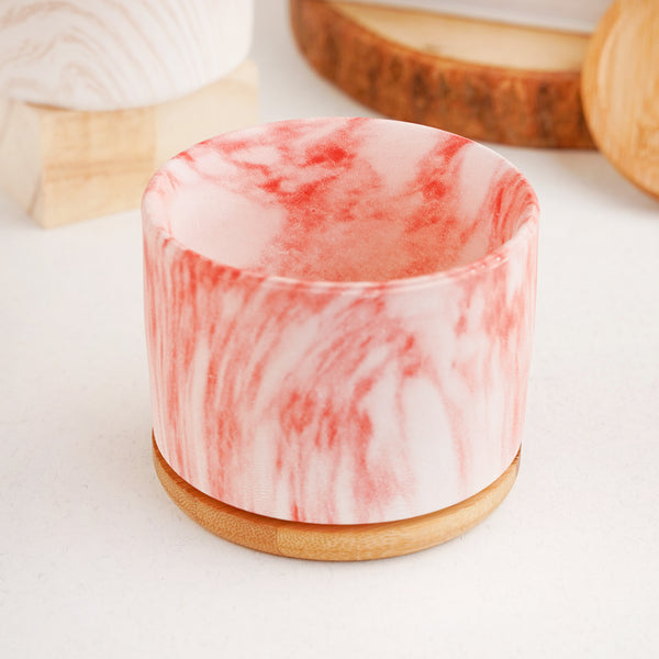 Succulent Plant Pot