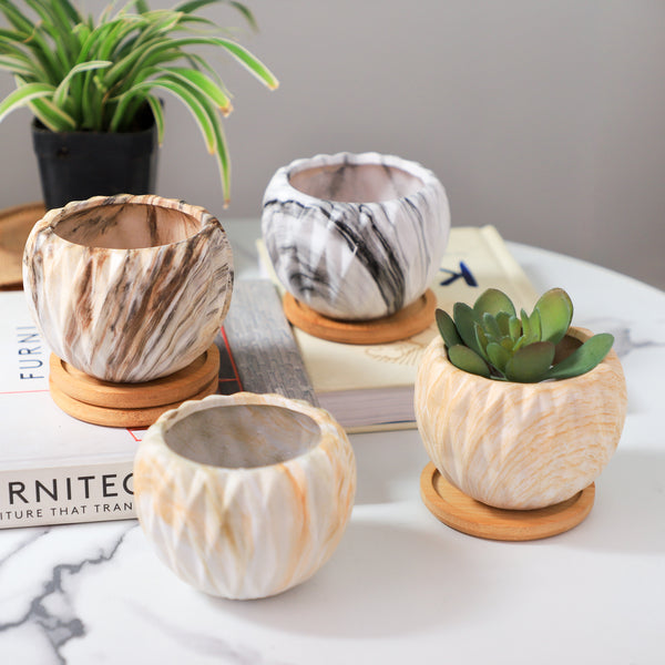 Succulent Planter