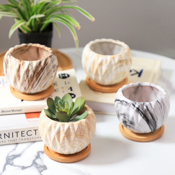 Succulent Planter