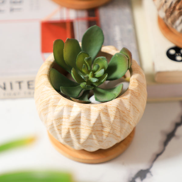 Succulent Planter