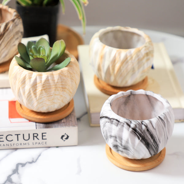 Succulent Planter