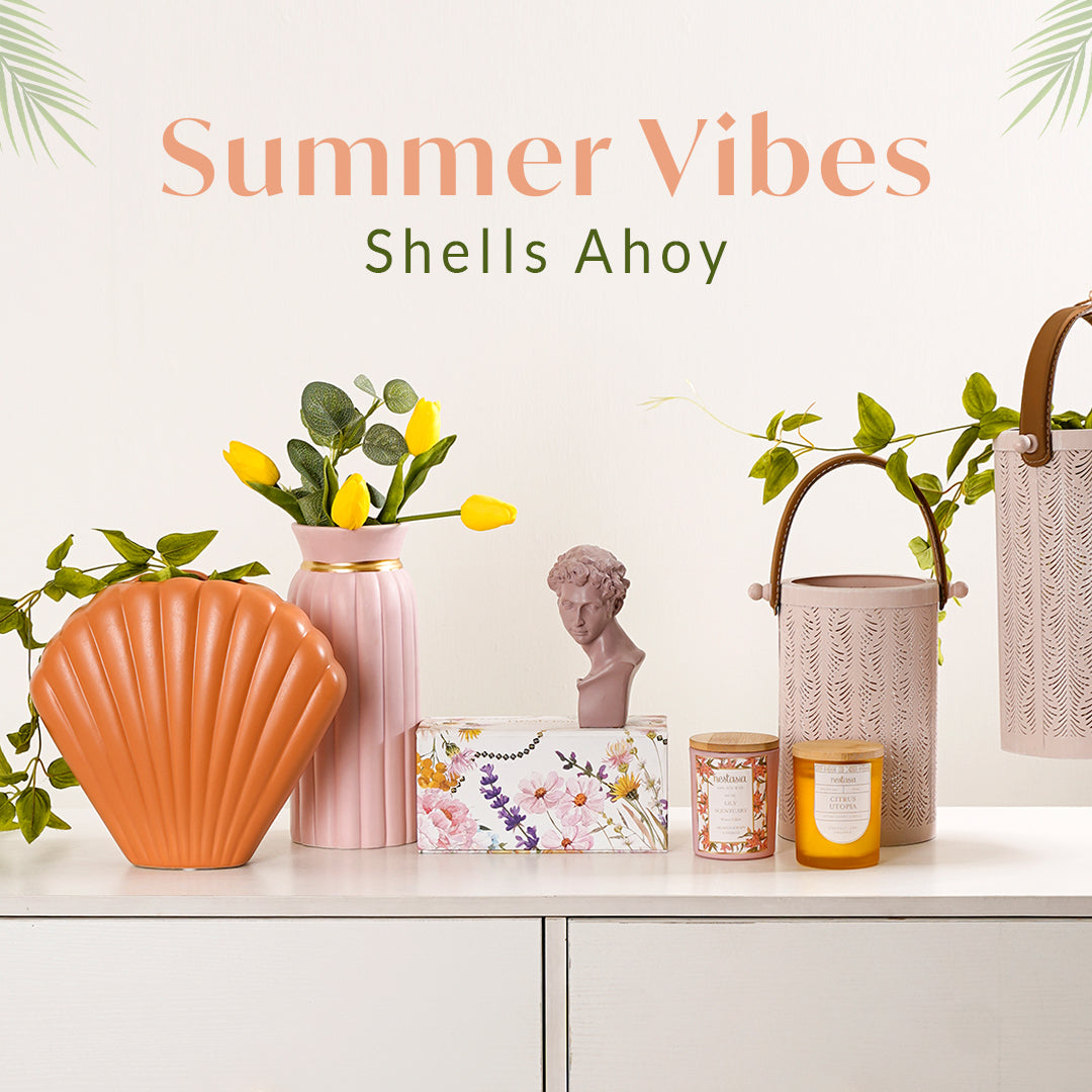 Explore The Tropical Allure Of Shell Decor With Nestasia
