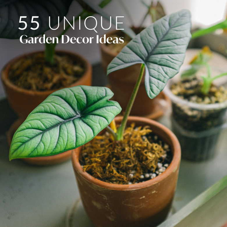 55 Unique & Creative Garden Decor Ideas For Every Budget | Nestasia