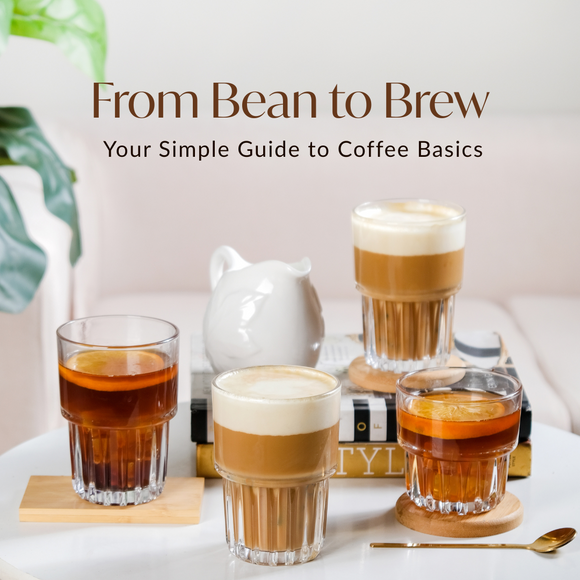 Blog: A Beginner’s Guide to Coffee Types (and How to Enjoy Them Best)