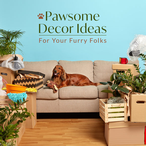 23 Home Decor Ideas For Pet Lovers | Nestasia