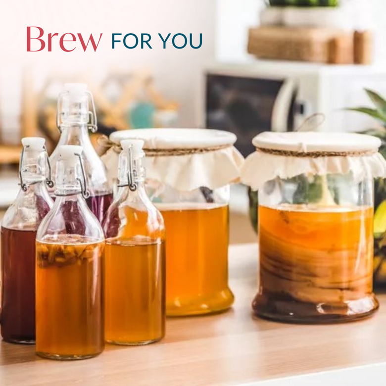 Homebrewing Guide for Beer, Cider, and Kombucha | Nestasia