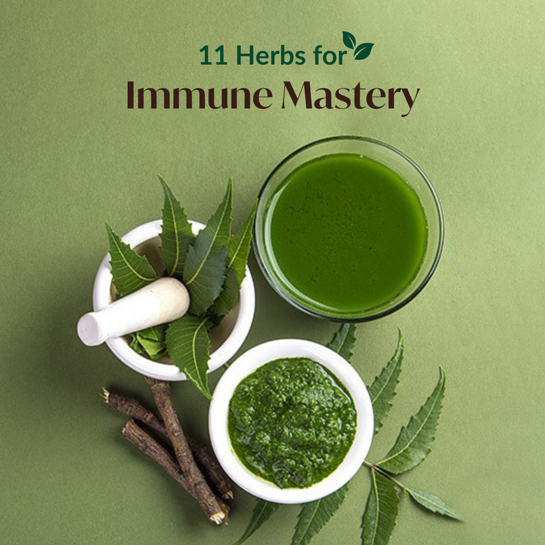 11 Most Powerful Immune Boosting Herbs