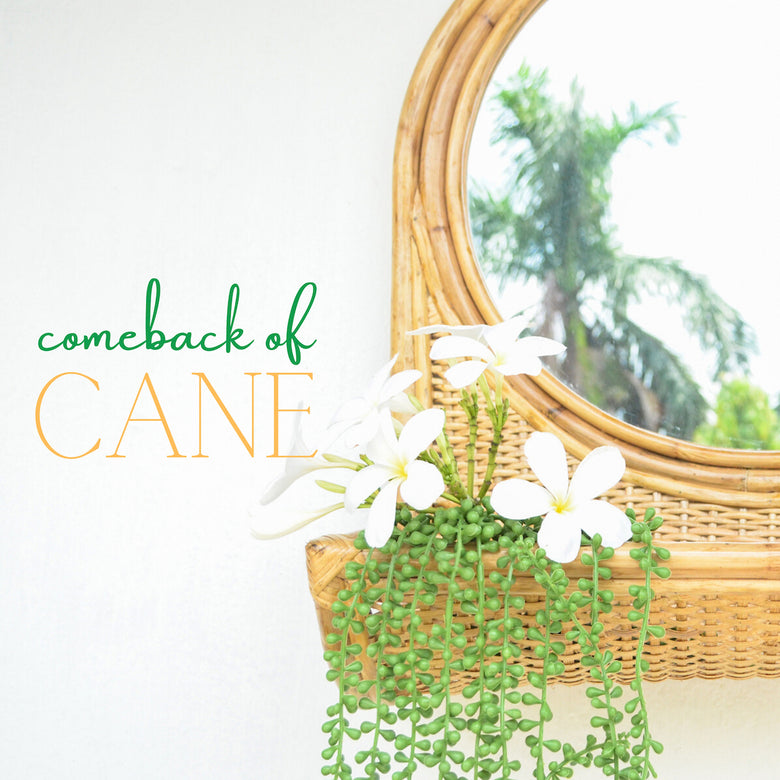 Comeback of Cane in Home Interiors - Nestasia