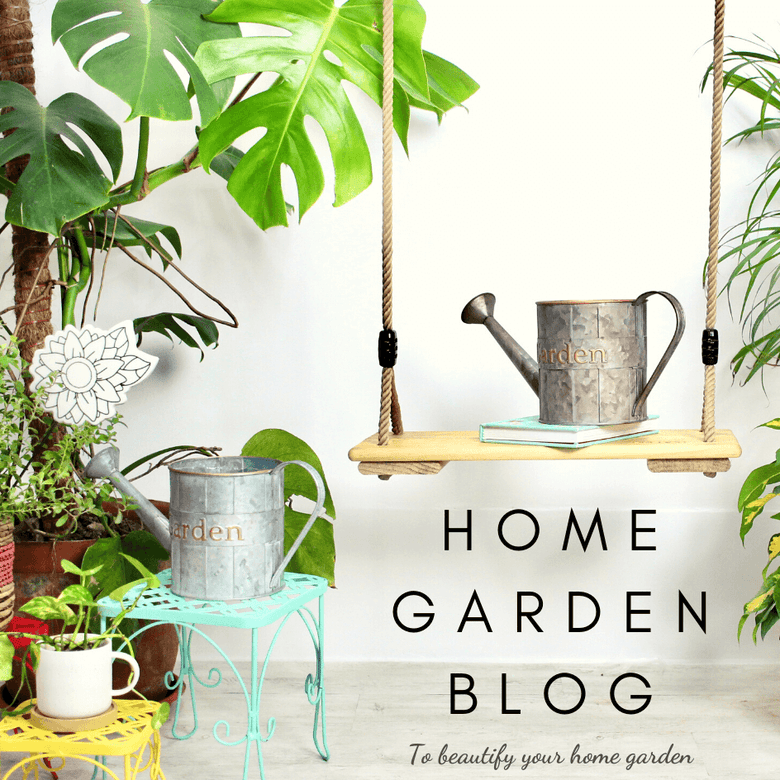 The Ultimate Home Garden Blog: 5 Gardens, Tips & Accessories for 2020! - Nestasia