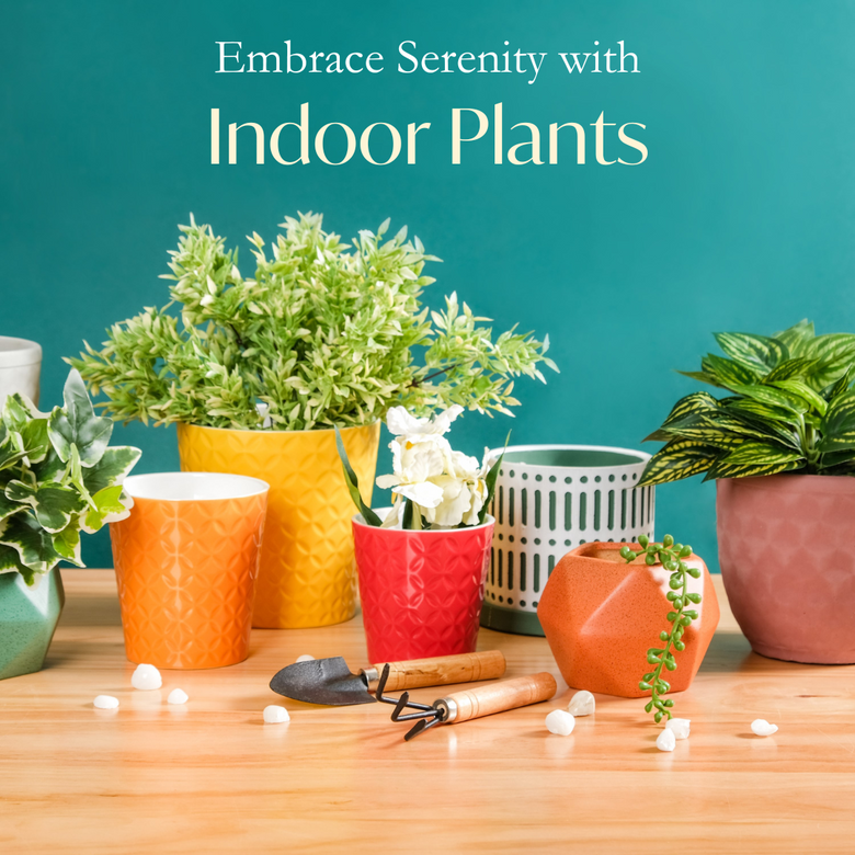 Benefits of Nurturing Indoor Plants