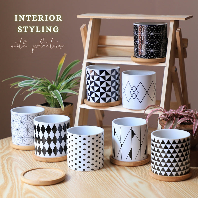 Mini Planters for Interior Styling - Nestasia