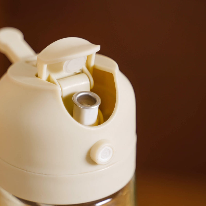 2 In 1 Spray And Pour Oil Dispenser Bottle 470ml