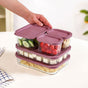 Groovo Storage Containers With Lid Set Of 5 310ml 750ml 1200ml Mauve