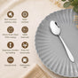Mirror Finish Spoon Set Of 12