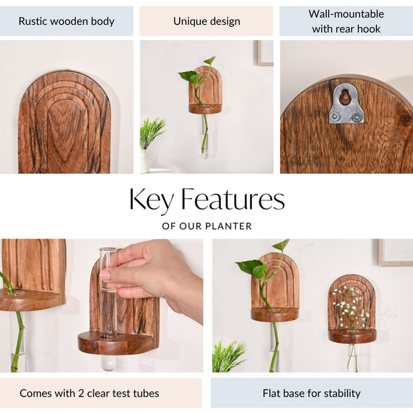 Acacia Wall Mounted Test Tube Planter Set Of 2