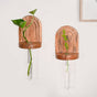 Acacia Wall Mounted Test Tube Planter Set Of 2