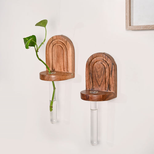 Acacia Wall Mounted Test Tube Planter Set Of 2