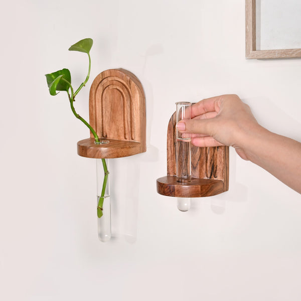 Acacia Wall Mounted Test Tube Planter Set Of 2