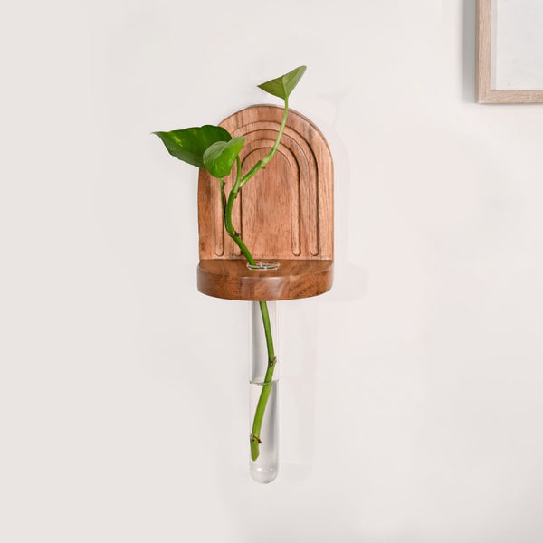 Acacia Wall Mounted Test Tube Planter Set Of 2
