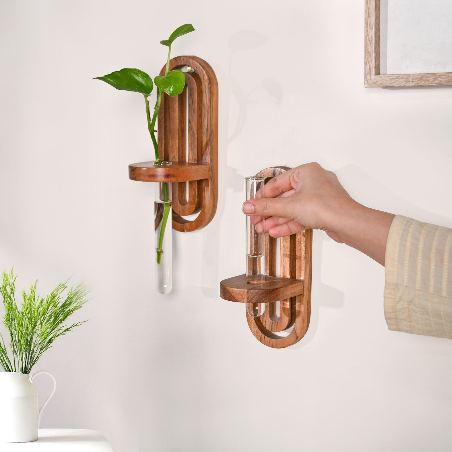 wall hanging test tube planter Acacia Wall Hanging Test Tube Planter Duo Online - Premium Planter