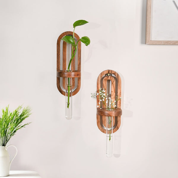 Acacia Wall Hanging Test Tube Planter Duo