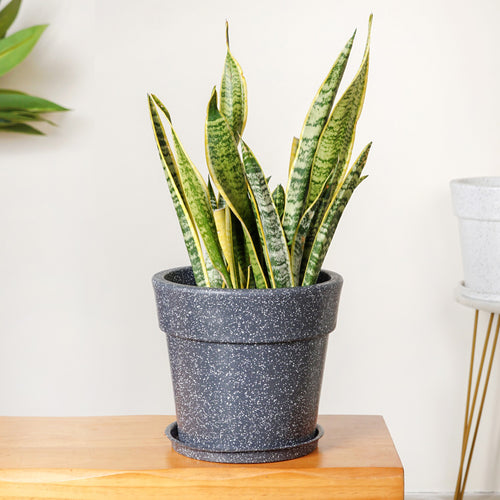 Amplio Grey Planter 26x24 Inch