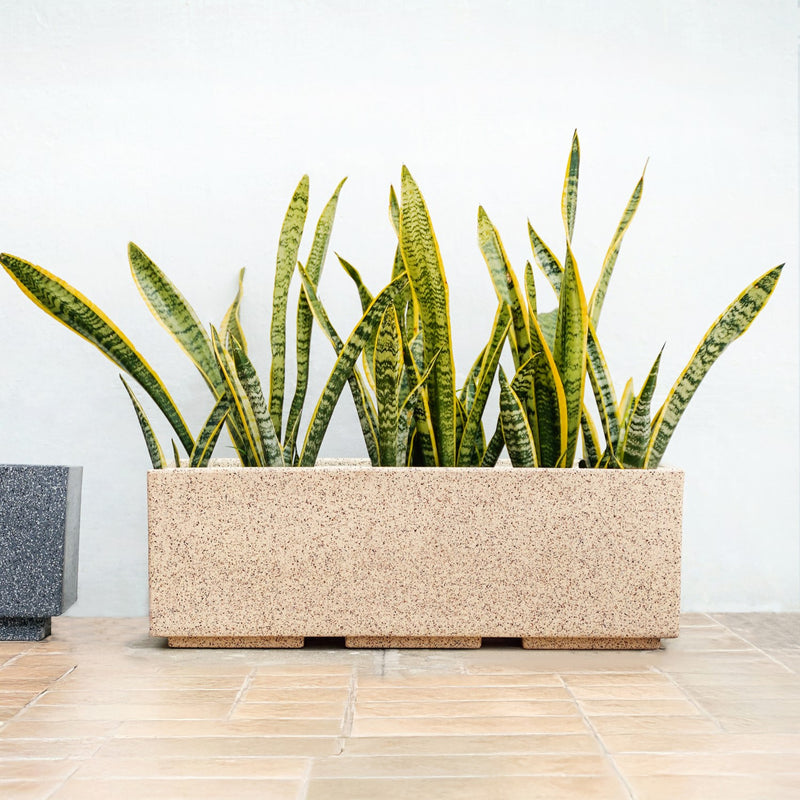 Amplio Modern Beige Trough Planters 61x21 Inch