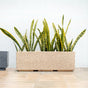 Amplio Modern Beige Trough Planters 61x21 Inch