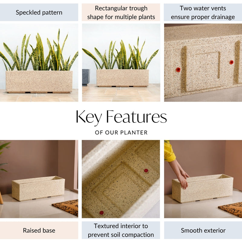 Amplio Modern Beige Trough Planters 61x21 Inch