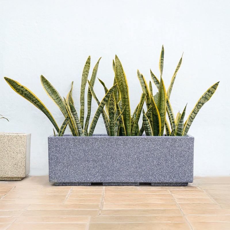 Amplio Modern Grey Trough Planters 61x21 Inch
