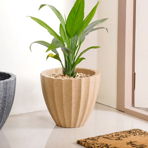 Amplio Ribbed Beige Planting Pot 33x31 Inch