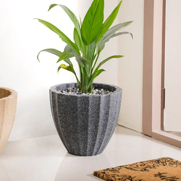Amplio Ribbed Grey Planting Pot 33x31 Inch
