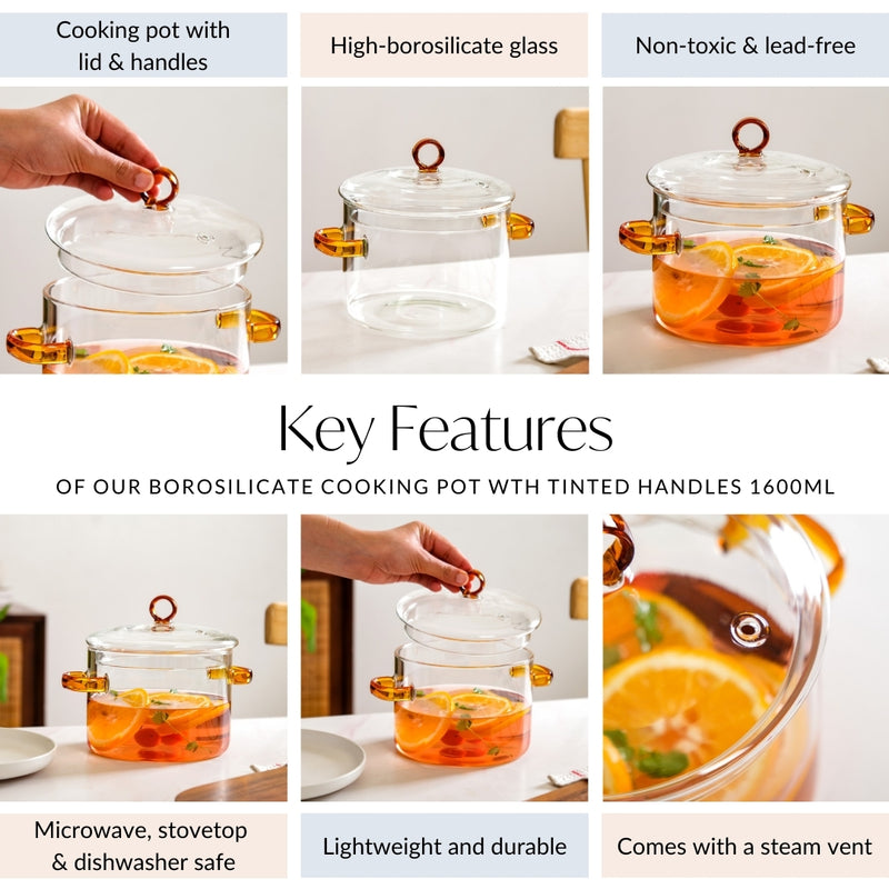 Borosilicate Cooking Pot With Tinted Handles 1600ml