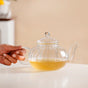 Borosilicate Teapot 650ml