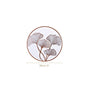 Bronze Ginkgo Table Mats Of 6