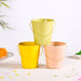 Metal Bucket For Home Decoration Set Of 3
