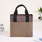 Chic Everyday Lunch Bag For Office