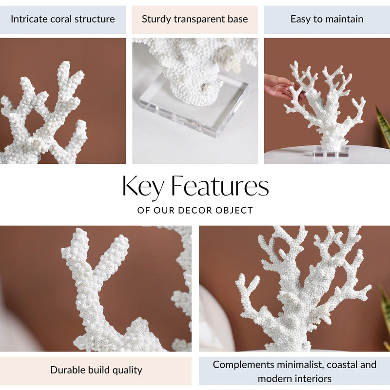 Coral Reef Coffee Table Decor