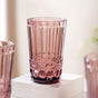 Purple Double Wall Drinking Glass Set of 4