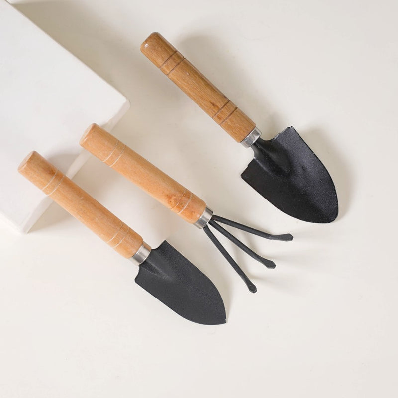 Gardeners' Seeds Eco Rakhi Hamper Set Of 6