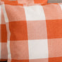 Checked Cushion Cover Set of 2