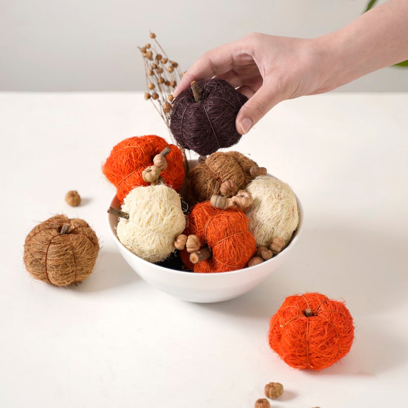 Pumpkin Organic Festive Decor Potpourri