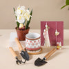 Garden Bliss Rakhi Celebration Set Of 6