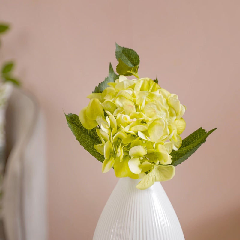 Hydrangea With Leaves Green