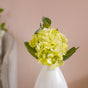 Hydrangea With Leaves Green