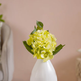 Hydrangea With Leaves Green