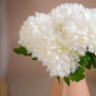 Chrysanthemum Flower White Set Of 5- Chrysanthemum Flower Set, White Chrysanthemums, Set of 5 Flowers, Decorative White Flowers, Chrysanthemum Decor