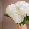 Chrysanthemum Flower White Set Of 5