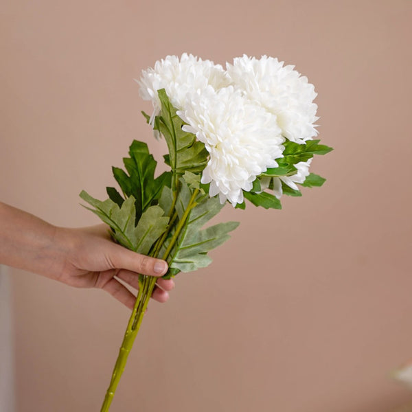Chrysanthemum Flower White Set Of 5