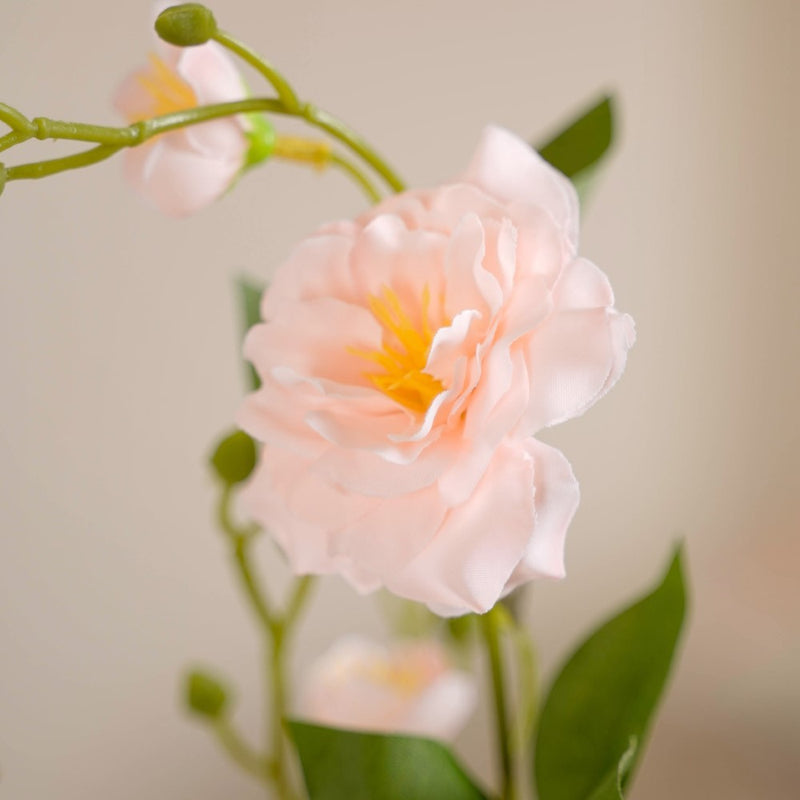 Rose Bouquet For Home Decor Peach